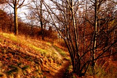 photo 0043